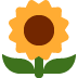 :sunflower: :sunflower: