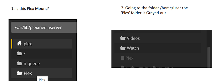 Plex Mount Issues