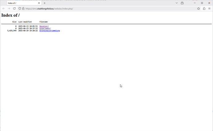 20250625_125450_firefox